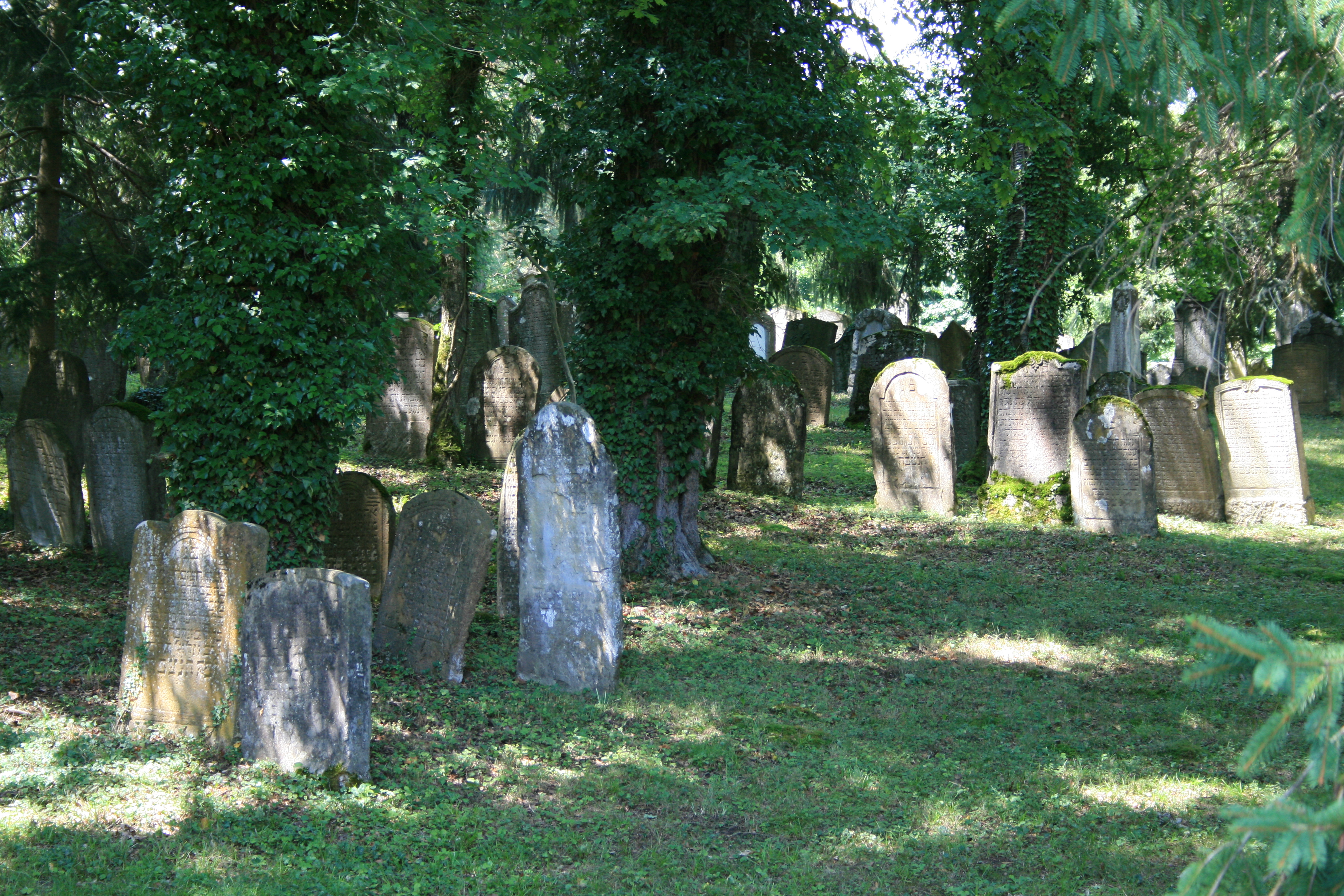 Israelitischer Friedhof Endingen-Lengnau